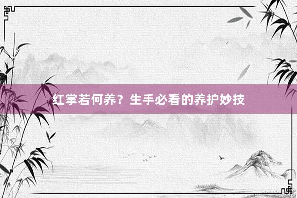 红掌若何养？生手必看的养护妙技