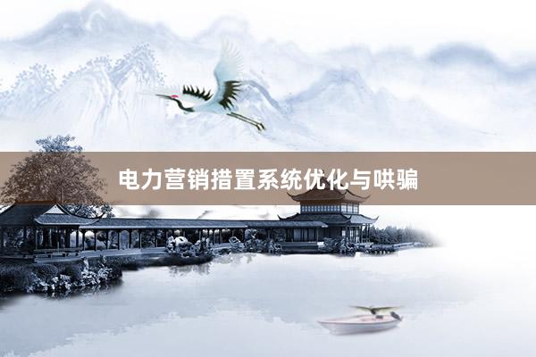 电力营销措置系统优化与哄骗